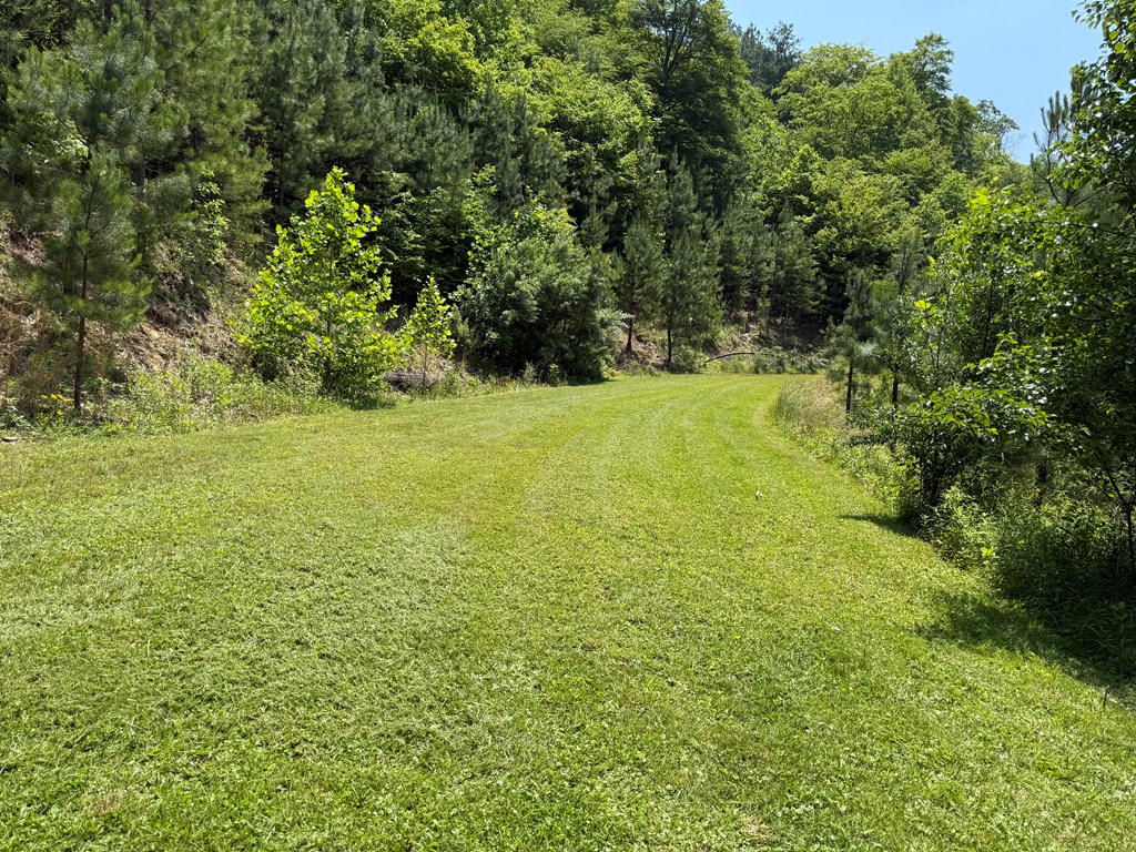 8570 Lovers Gap Road