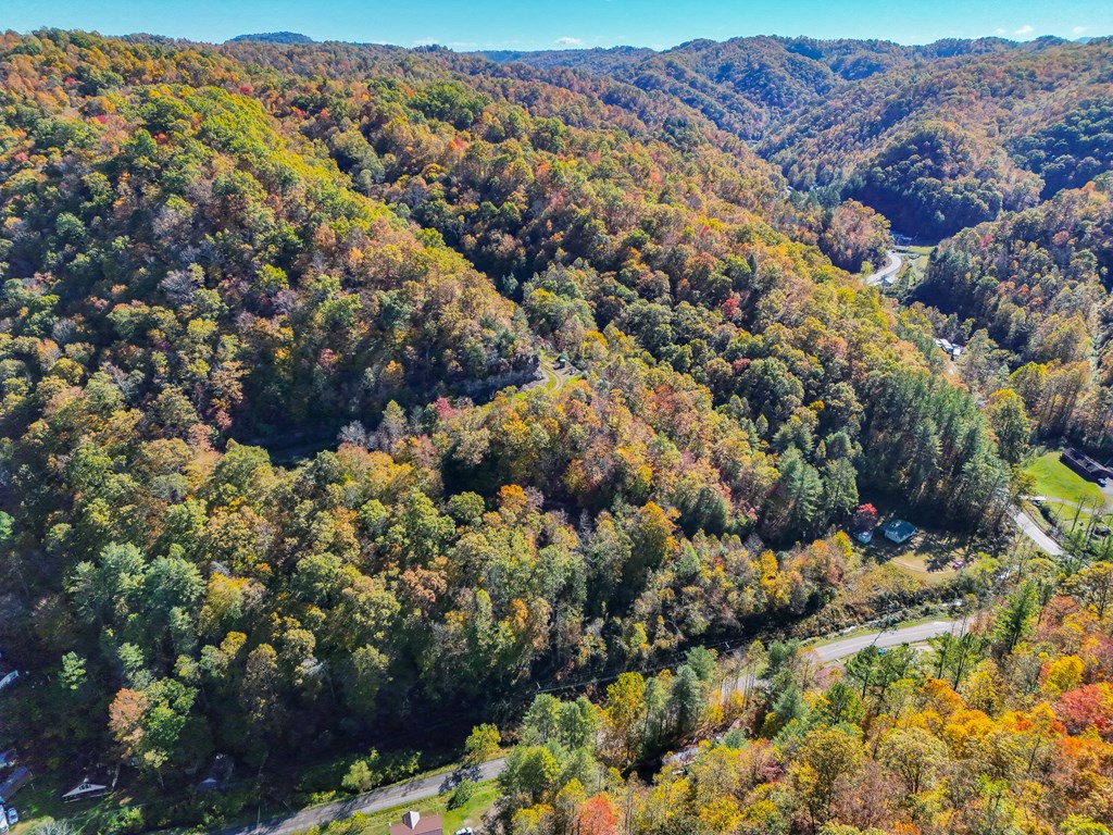 8836 Lovers Gap Road, Vansant