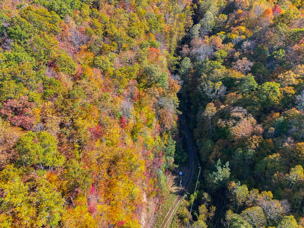 8836 Lovers Gap Road, Vansant