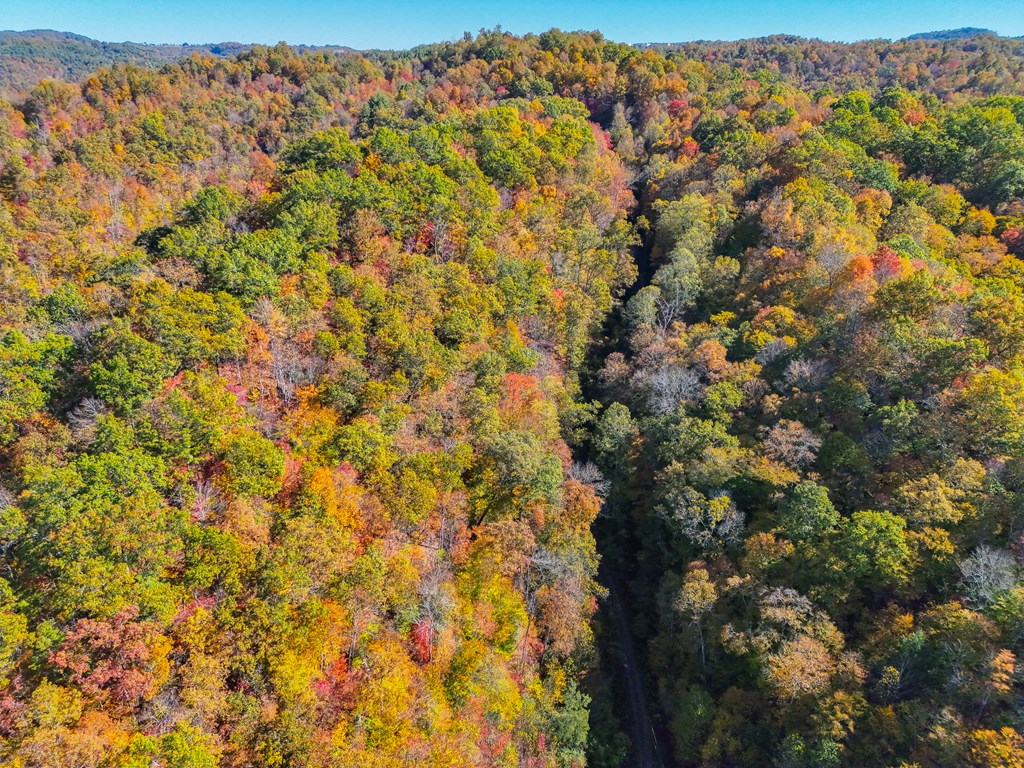 8836 Lovers Gap Road, Vansant