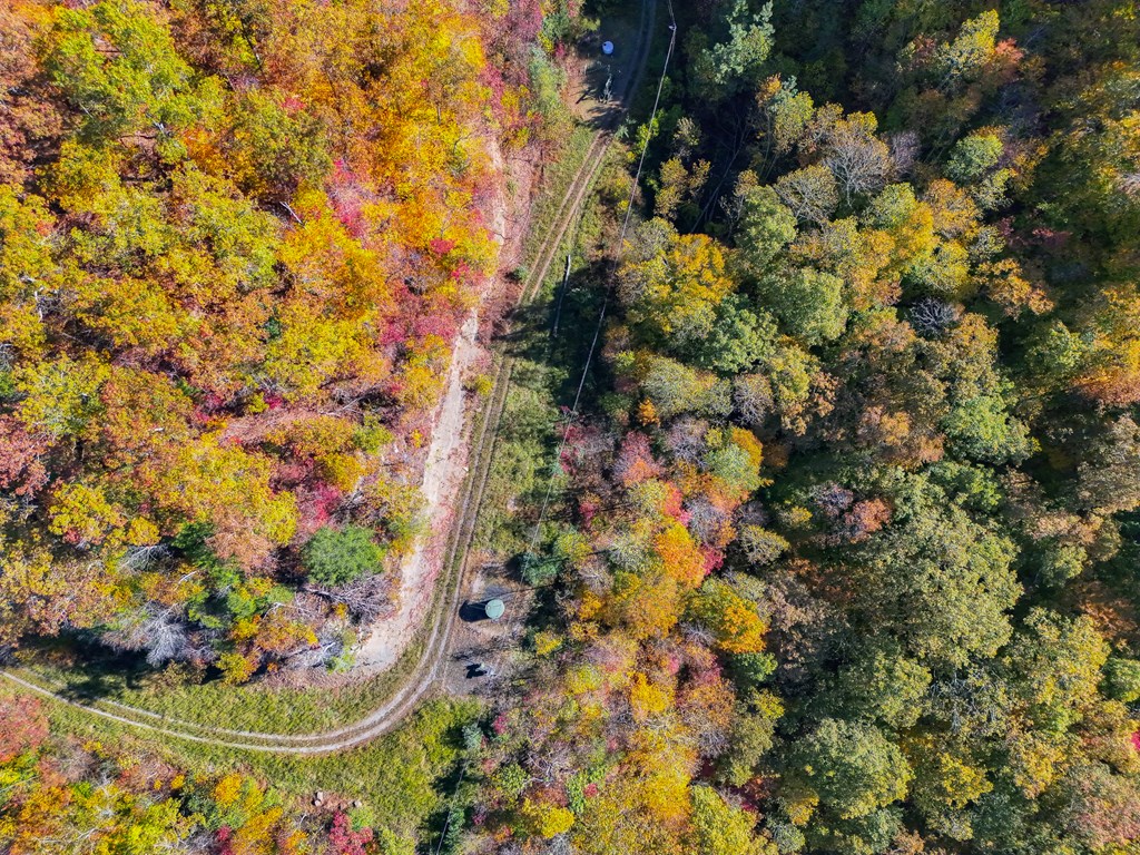 8836 Lovers Gap Road, Vansant