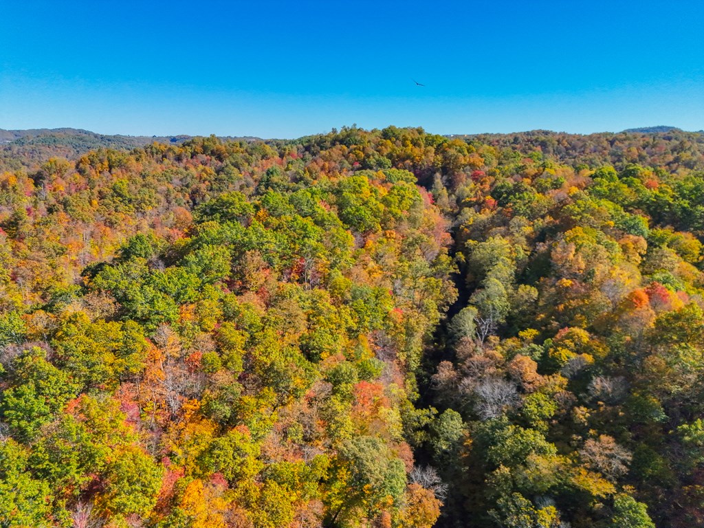 8836 Lovers Gap Road, Vansant