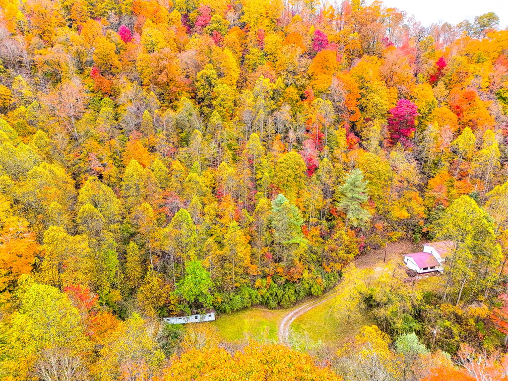 424 King Solomon Colley Cemetery Road