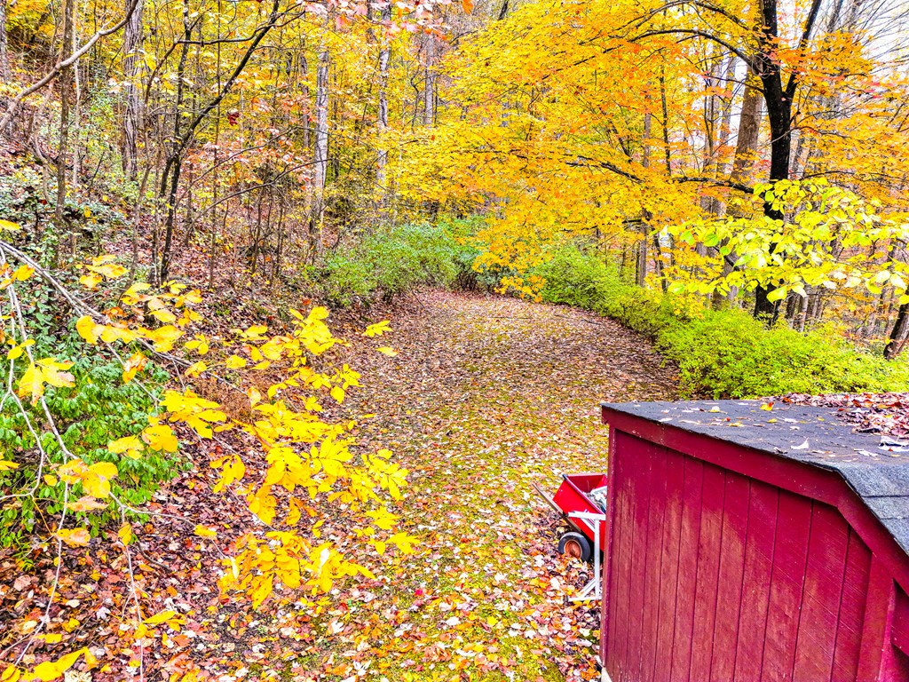 424 King Solomon Colley Cemetery Road