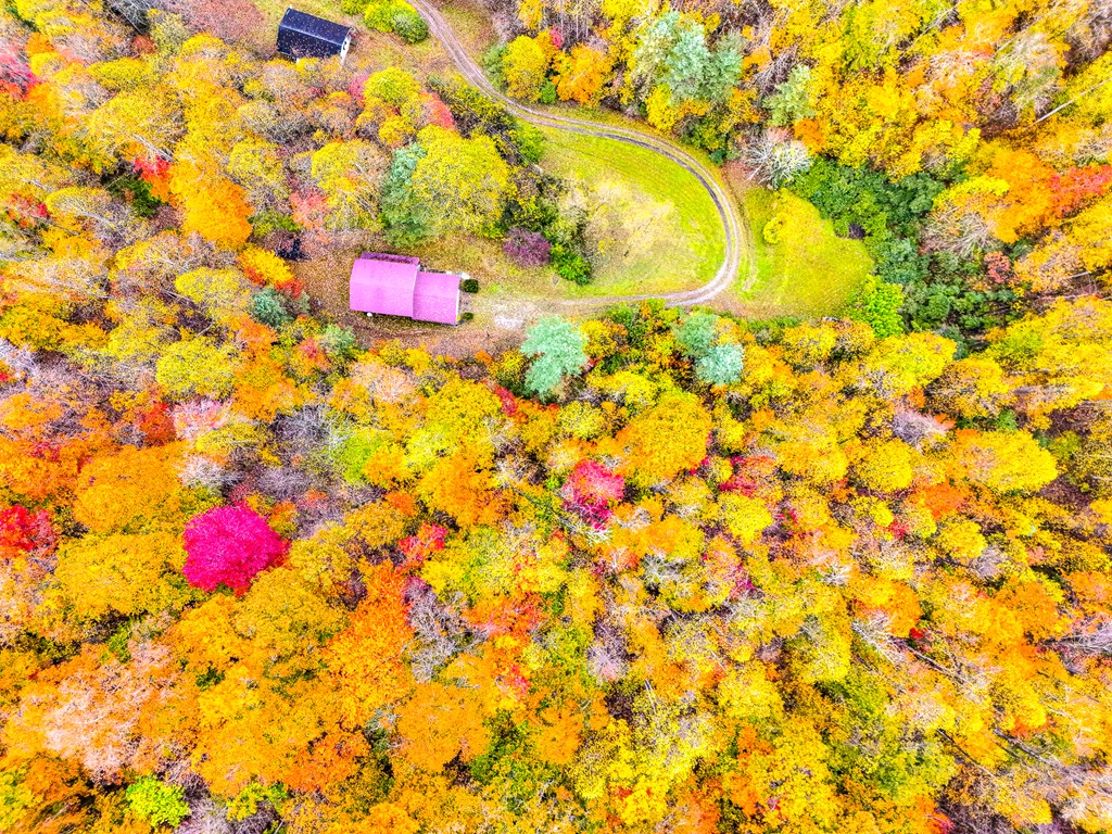 424 King Solomon Colley Cemetery Road