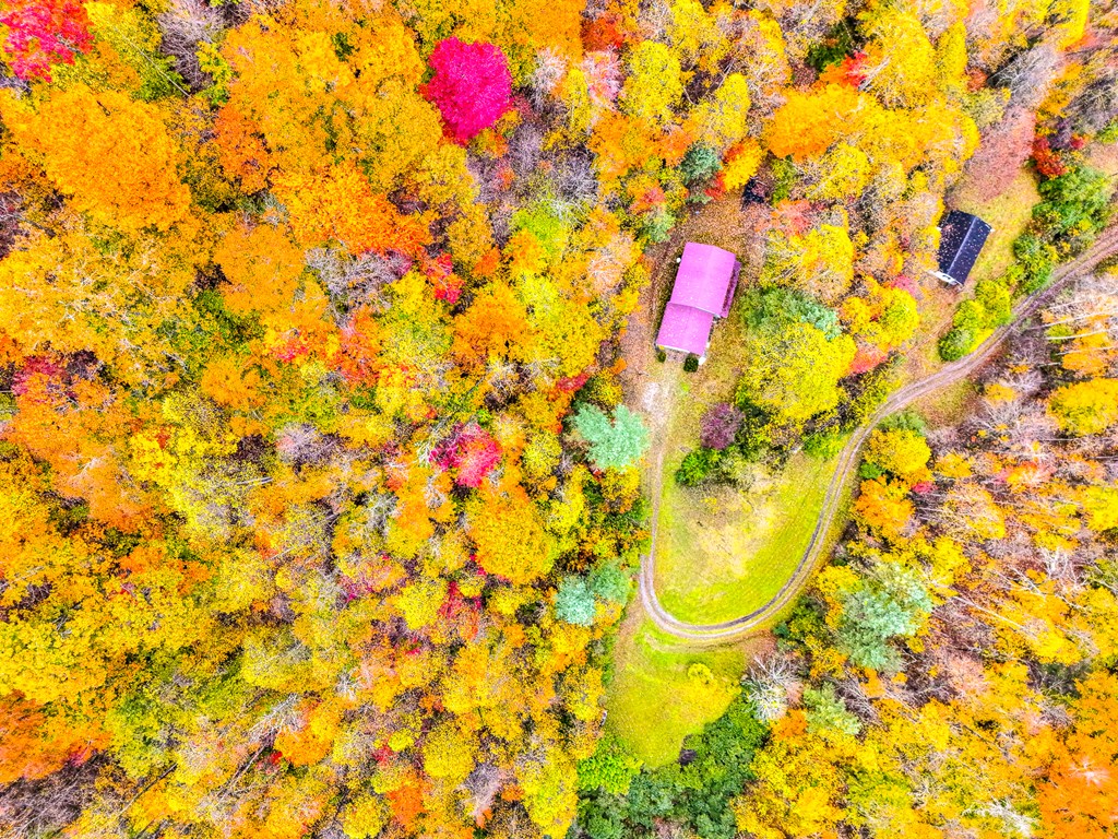 424 King Solomon Colley Cemetery Road