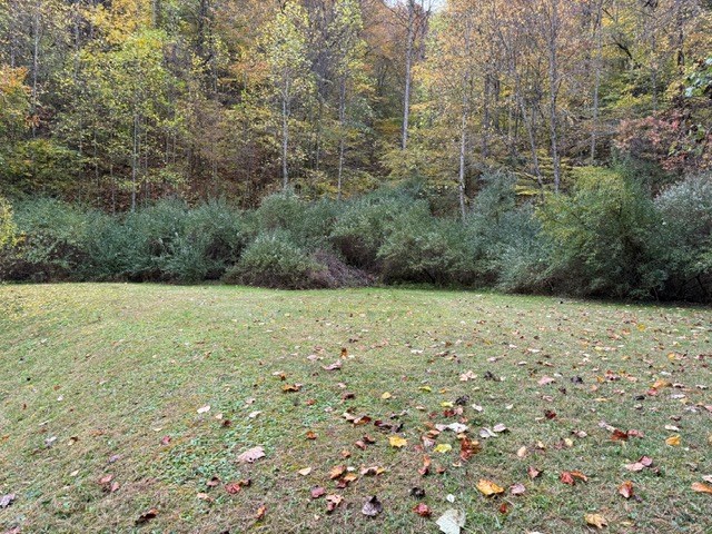 424 King Solomon Colley Cemetery Road