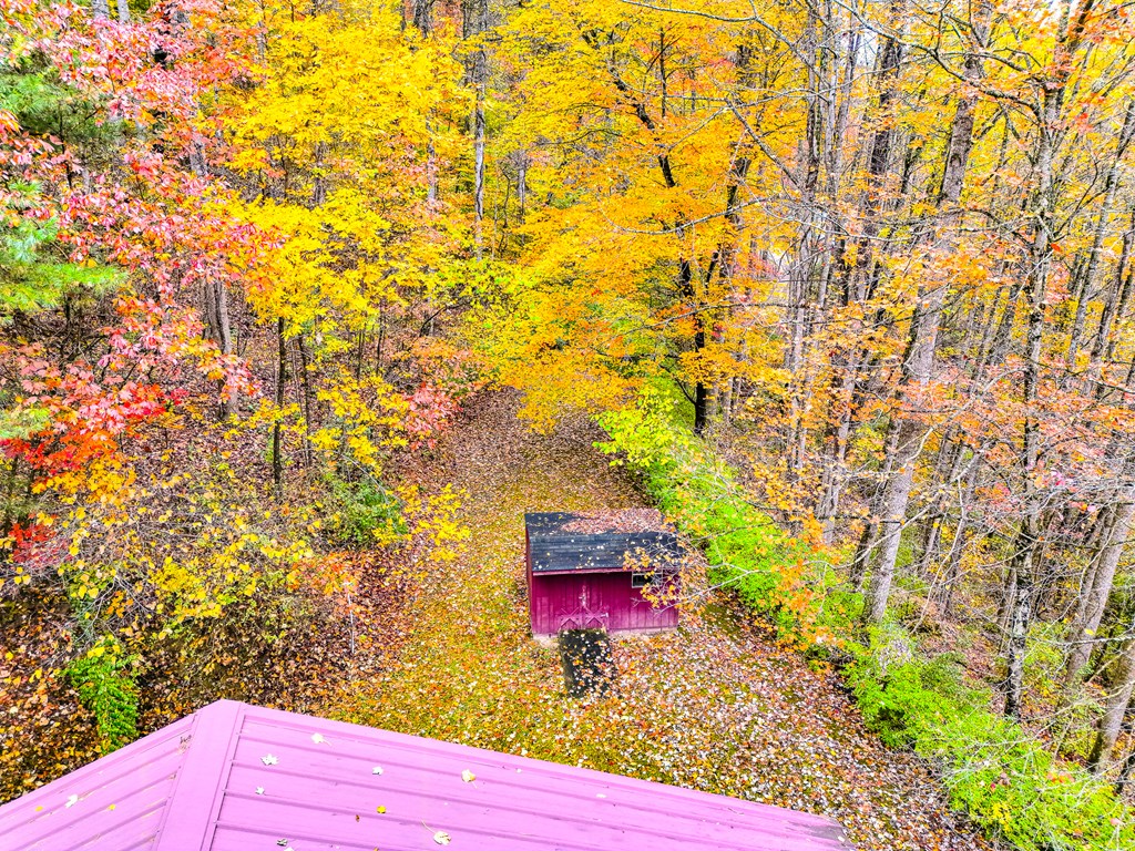 424 King Solomon Colley Cemetery Road