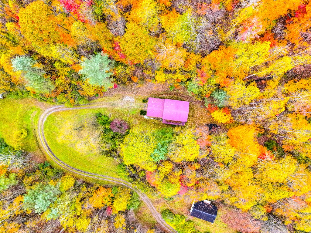 424 King Solomon Colley Cemetery Road