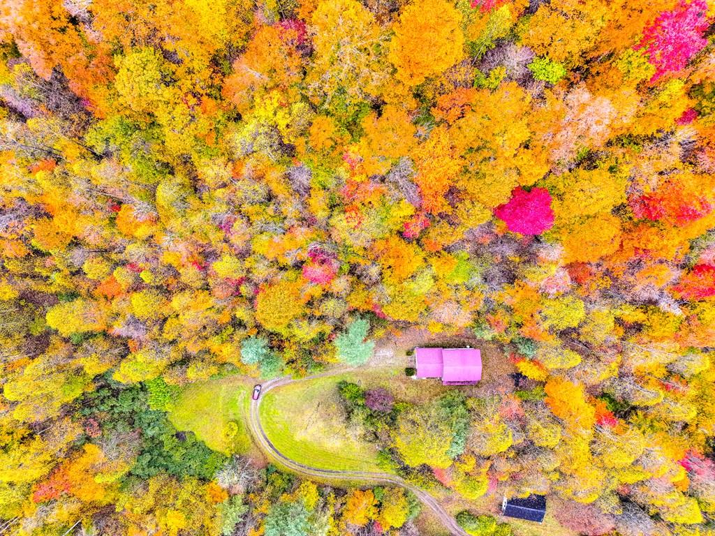 424 King Solomon Colley Cemetery Road