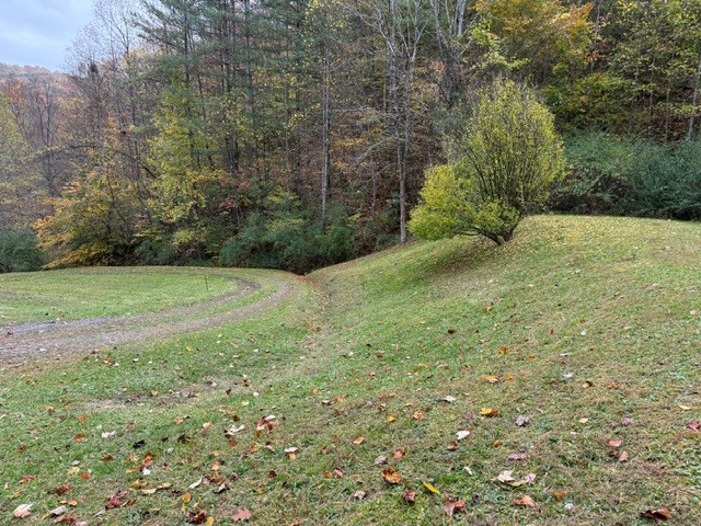 424 King Solomon Colley Cemetery Road