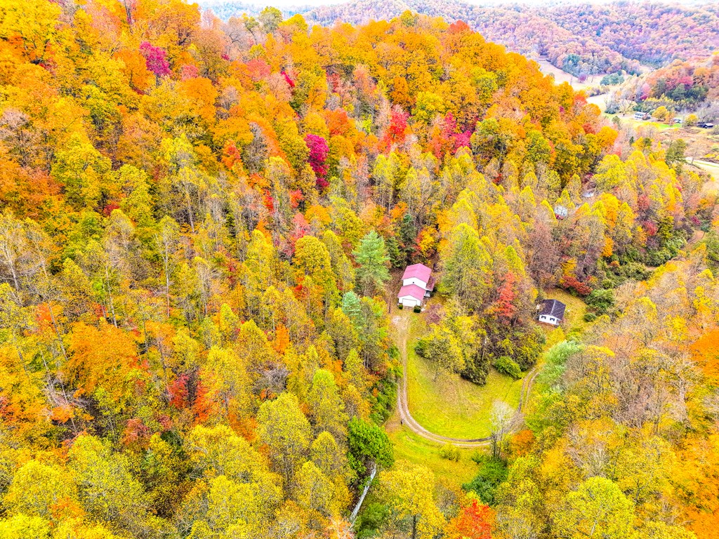 424 King Solomon Colley Cemetery Road