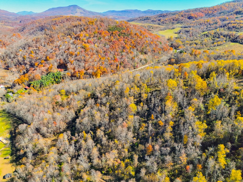 TBD Indian Paint Road