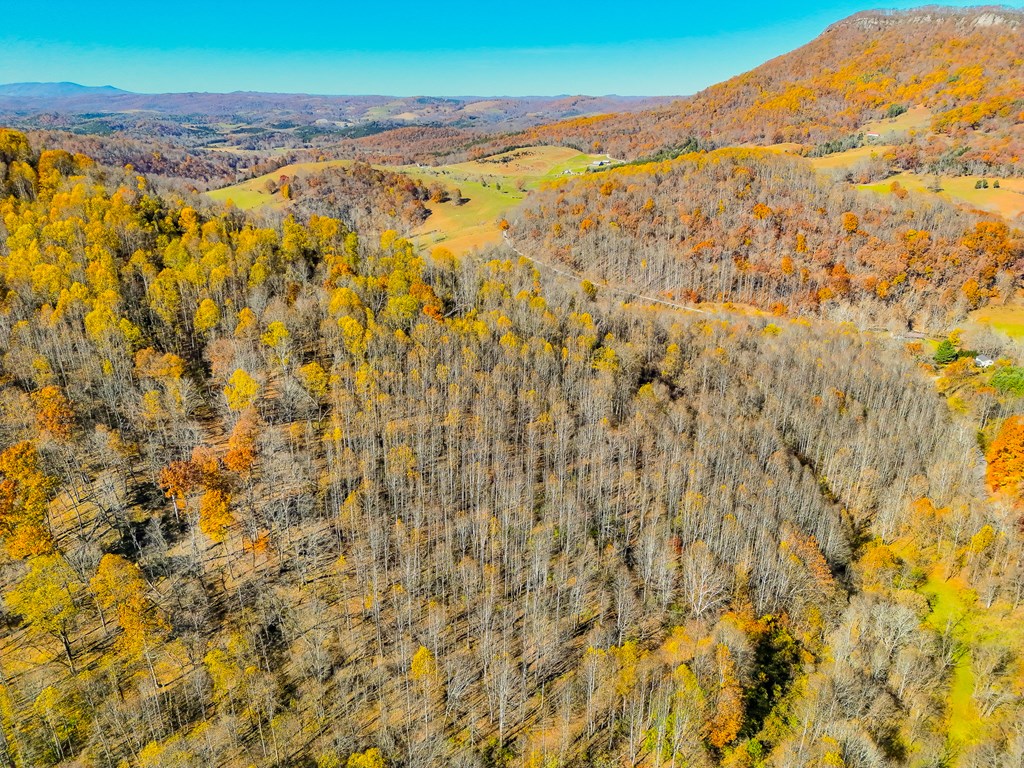 TBD Indian Paint Road