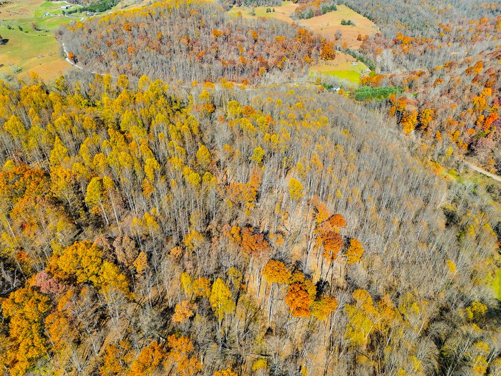 TBD Indian Paint Road