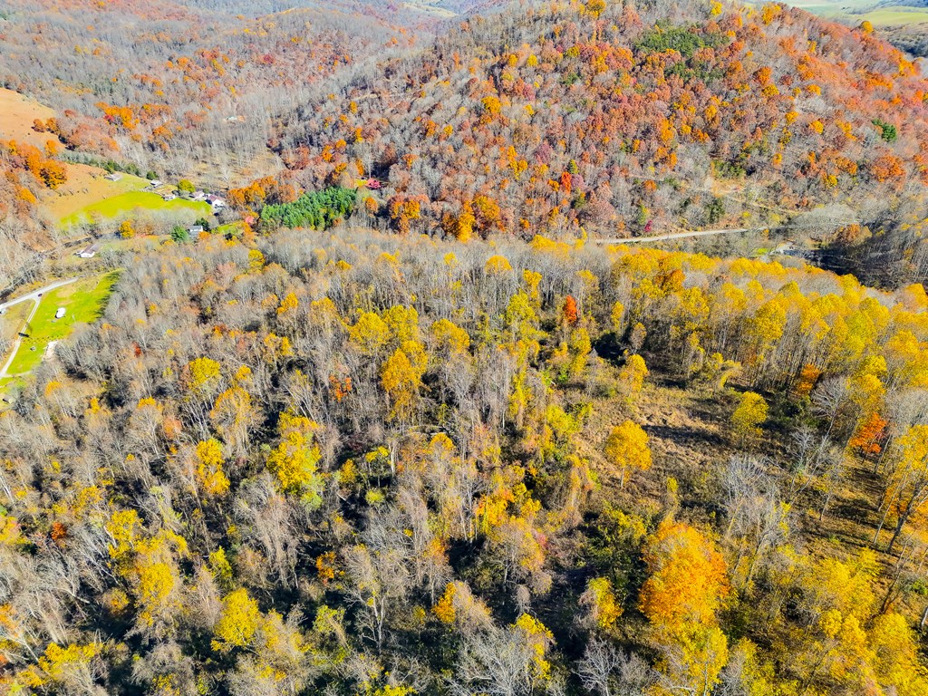 TBD Indian Paint Road