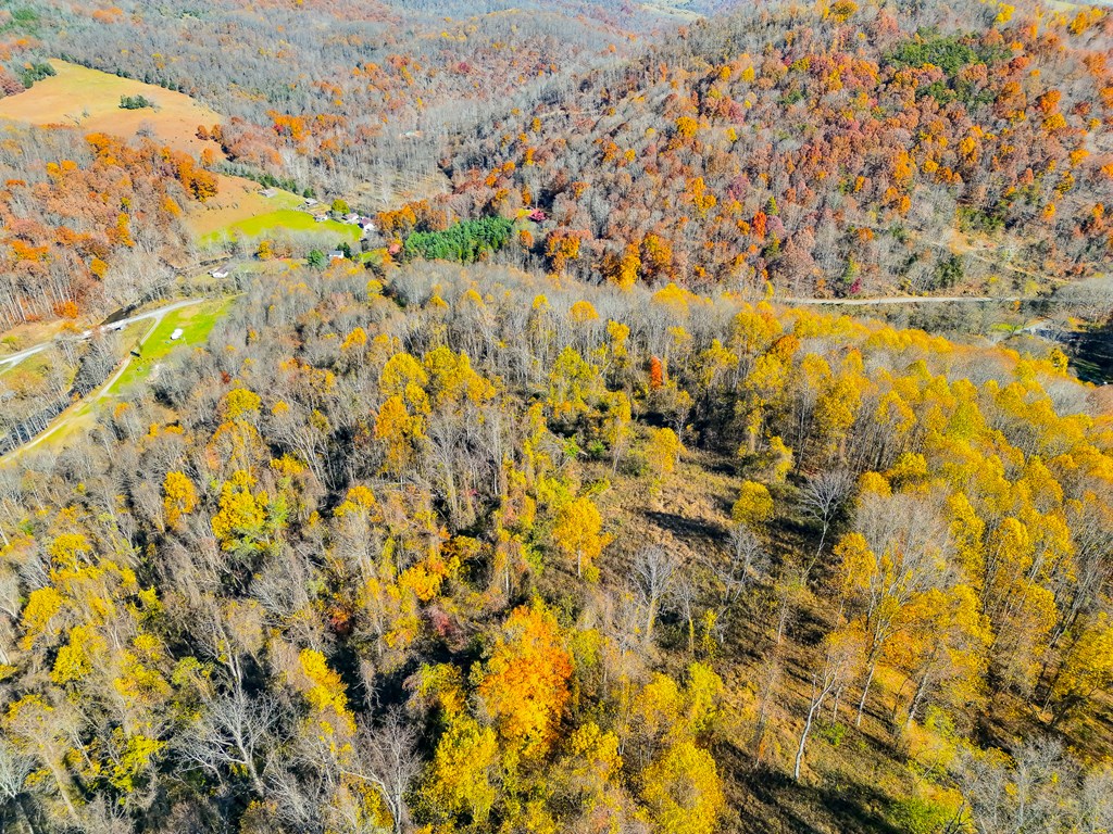 TBD Indian Paint Road