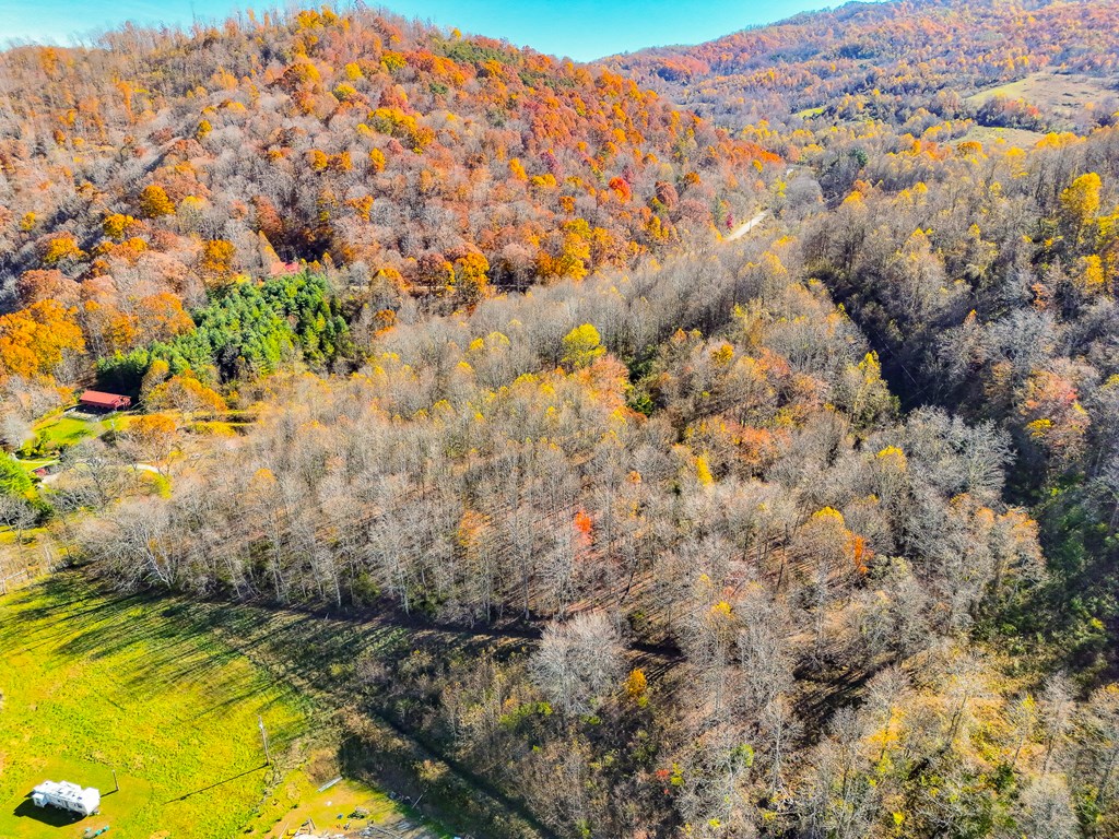 TBD Indian Paint Road