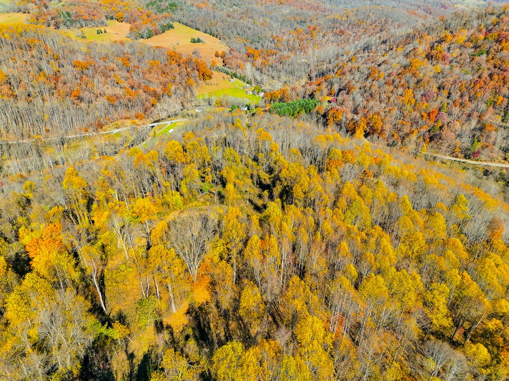 TBD Indian Paint Road