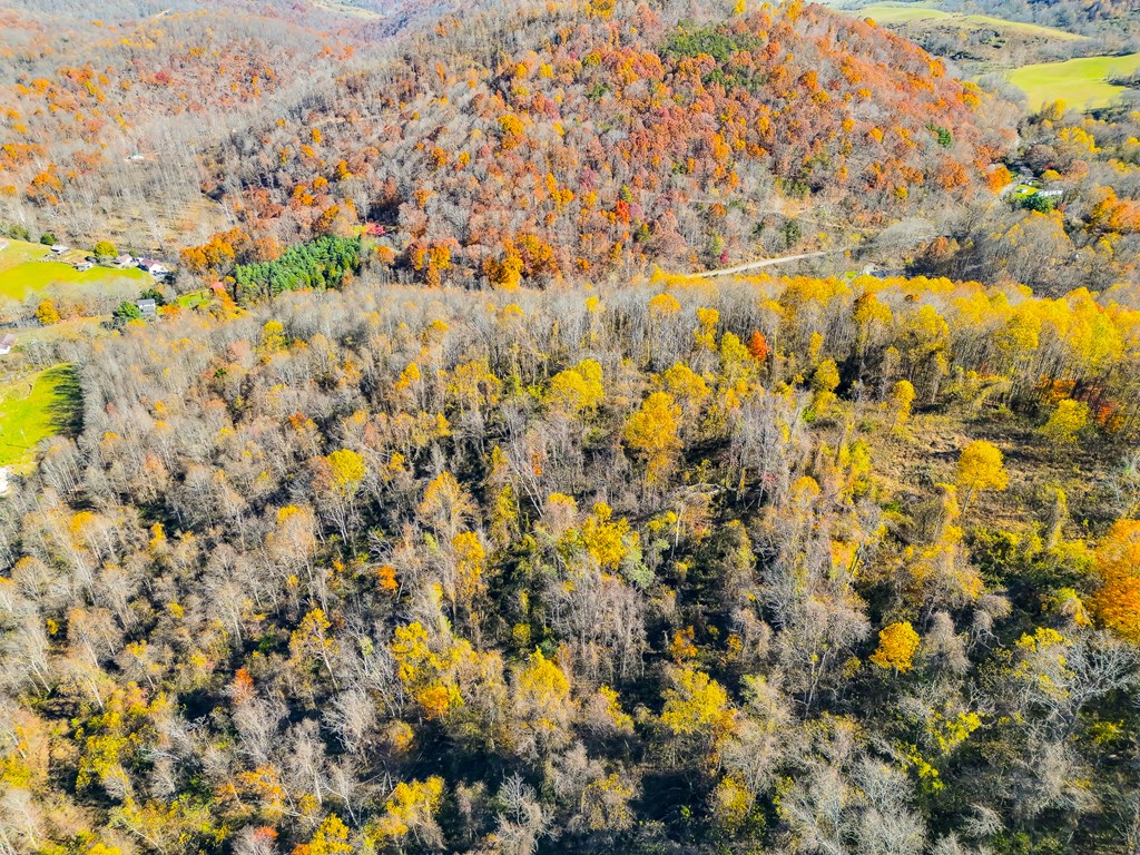 TBD Indian Paint Road