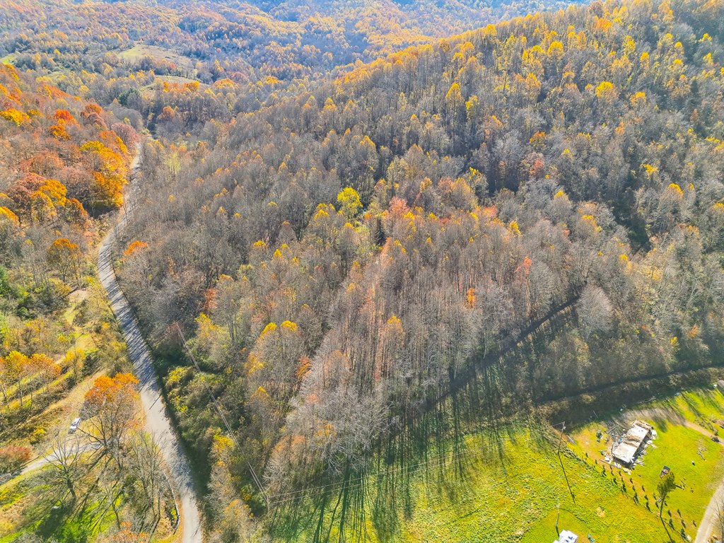 TBD Indian Paint Road