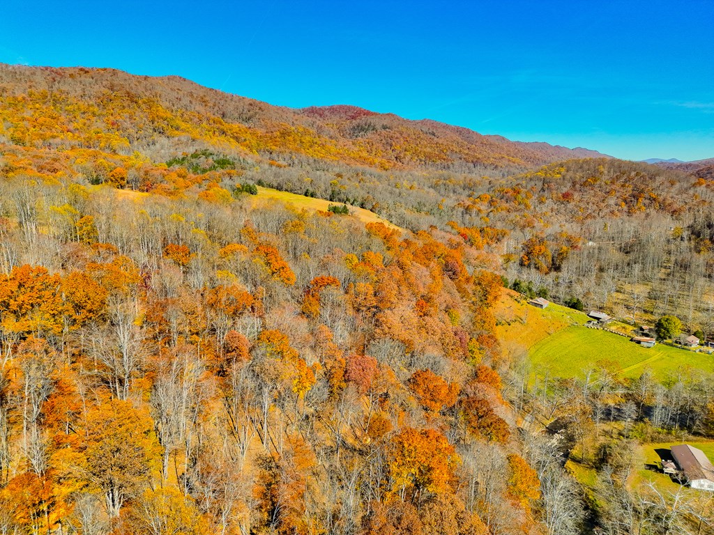 TBD Indian Paint Road