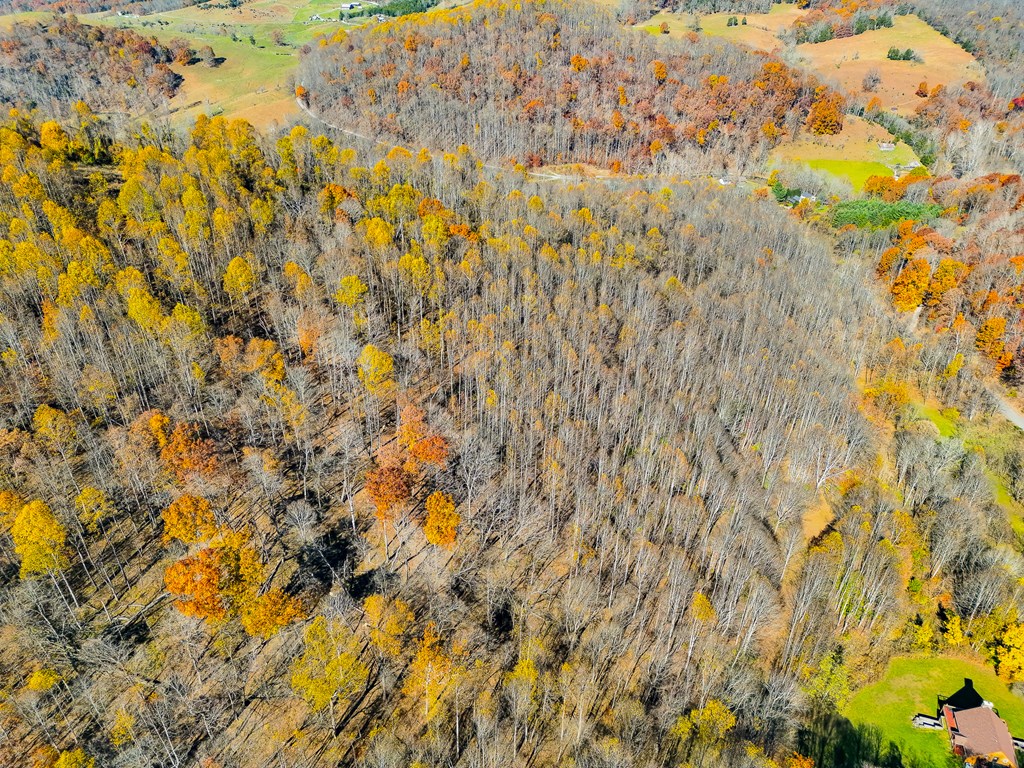 TBD Indian Paint Road