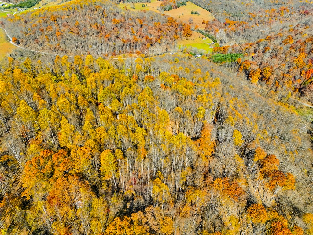 TBD Indian Paint Road