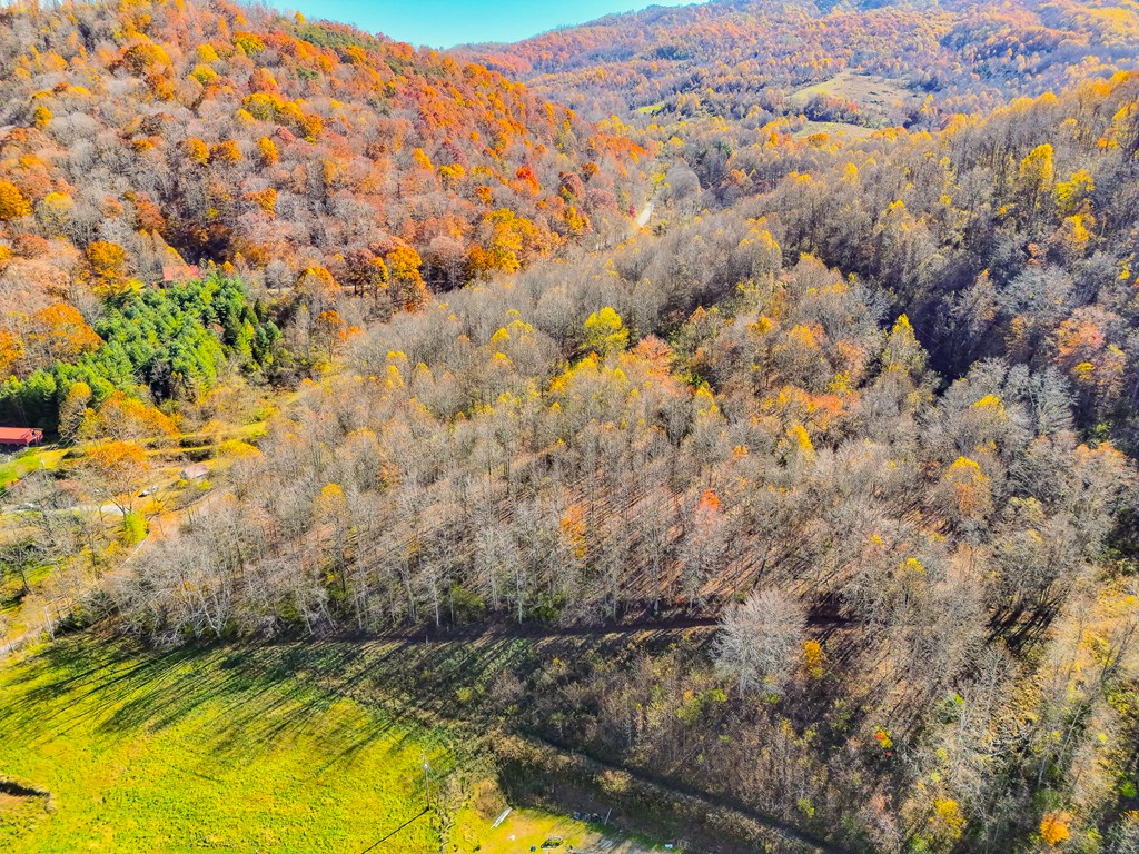 TBD Indian Paint Road