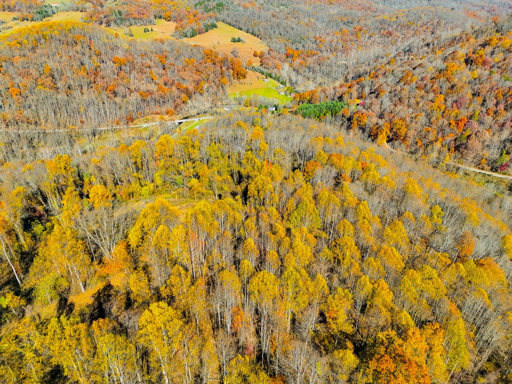 TBD Indian Paint Road