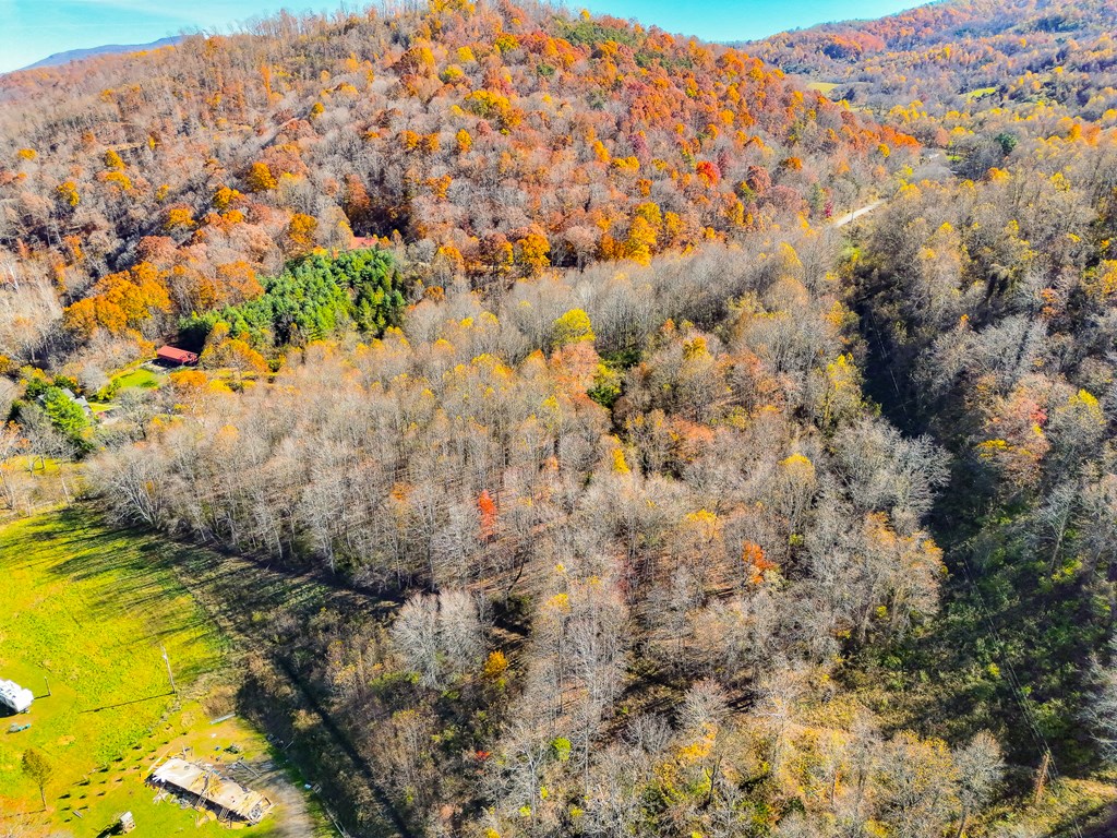 TBD Indian Paint Road