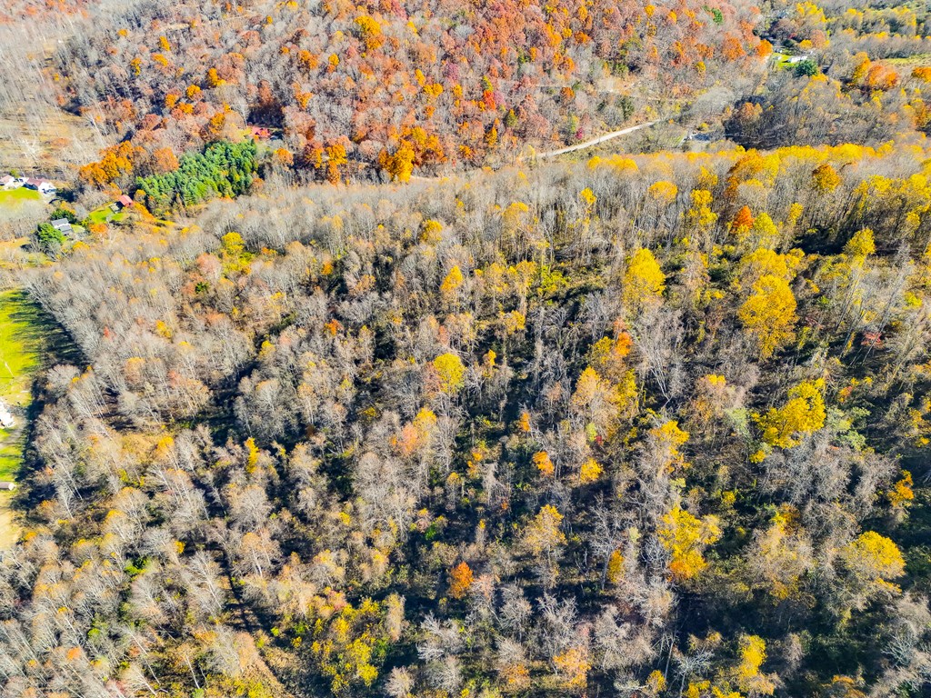 TBD Indian Paint Road