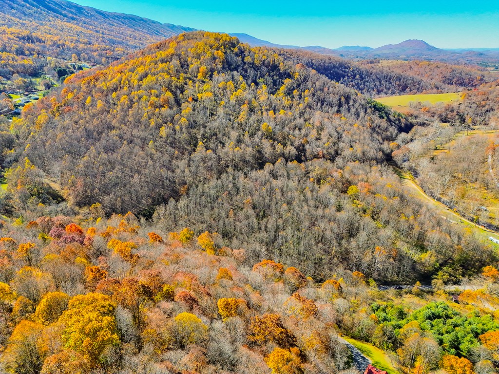 TBD Indian Paint Road