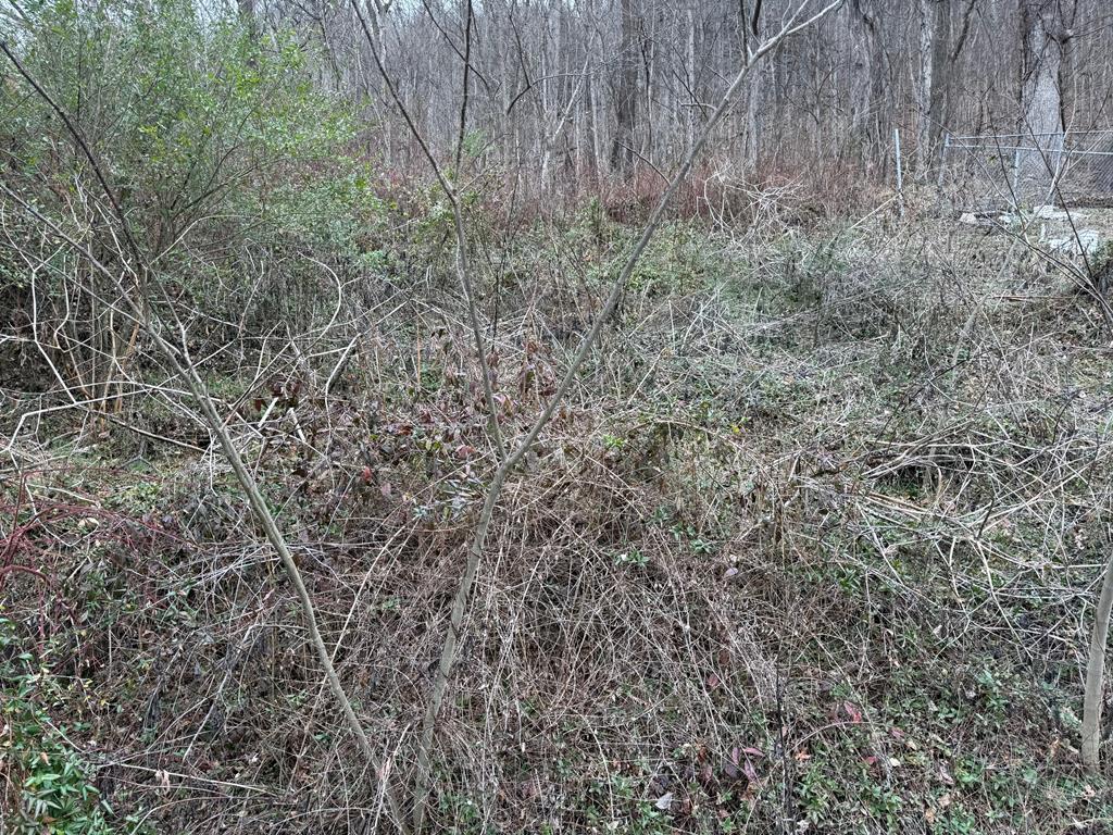 1111 Watkins Branch