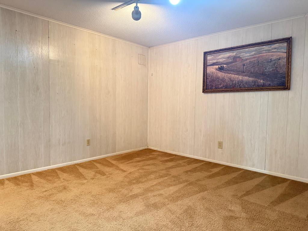 Empty room with tan striped carpet, paneled walls, and framed landscape artwork.