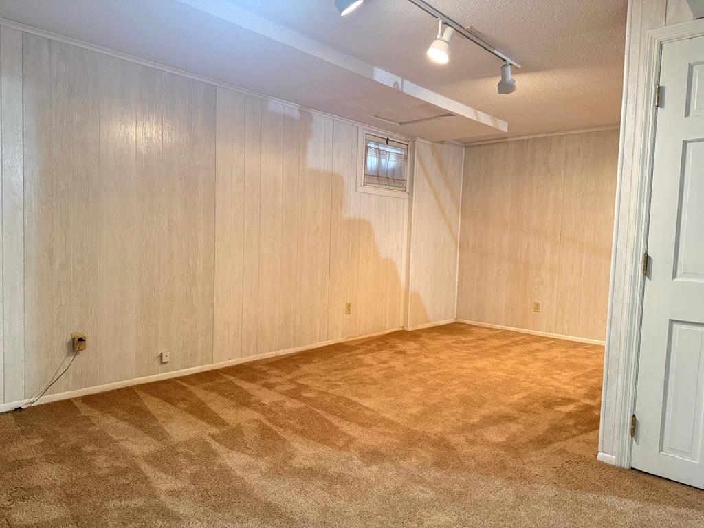 Empty basement room with tan carpet, paneled walls, and a small high window.