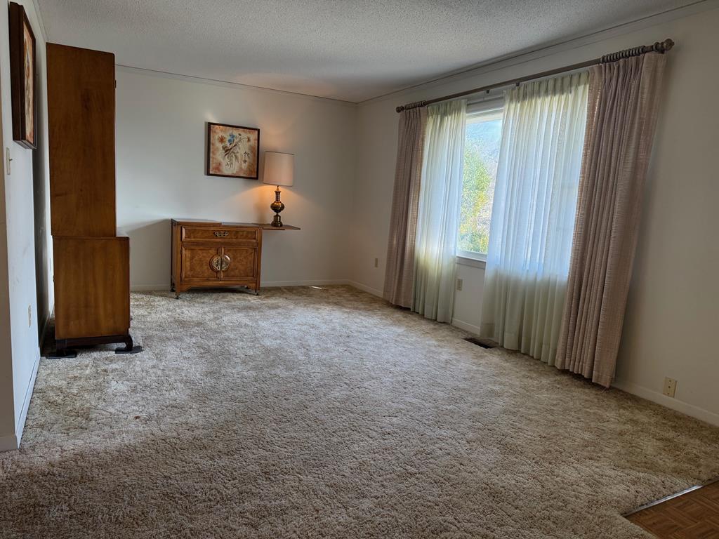 Carpeted living room with a large curtained window and wooden cabinets.