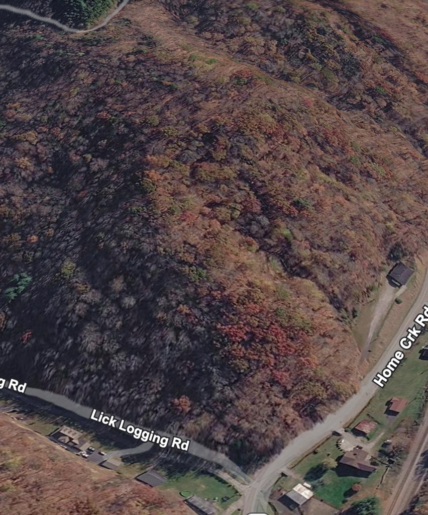 TBD Lick Log Road