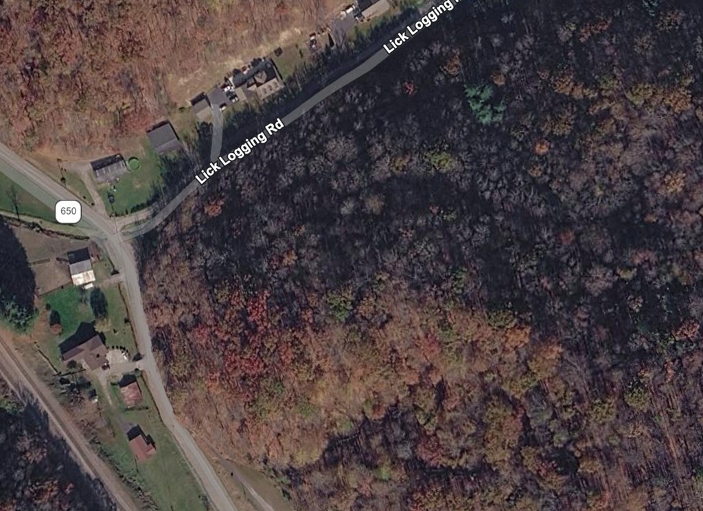 TBD Lick Log Road