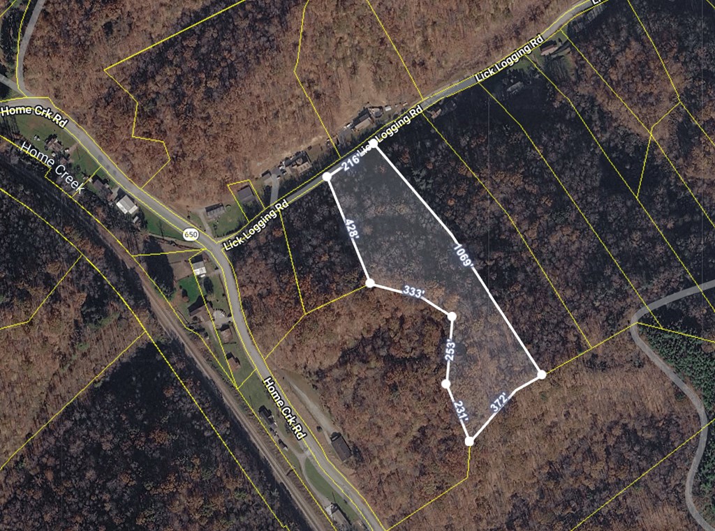 TBD Lick Log Road