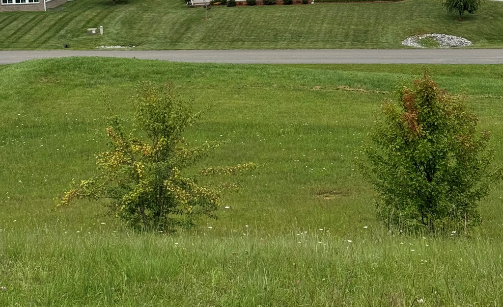 TBD Bridle Drive