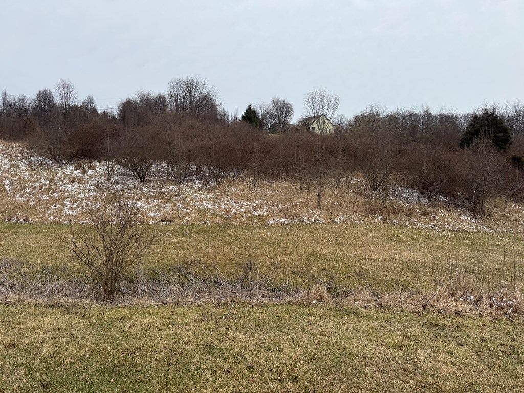 TBD Vintage View Road