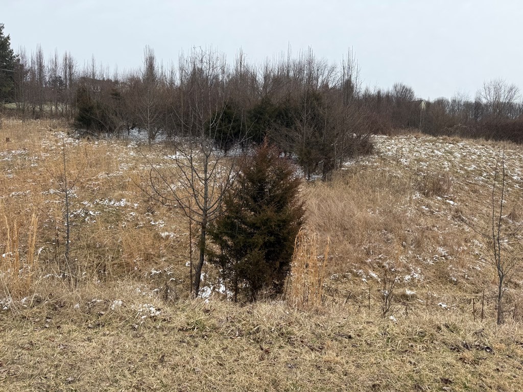 TBD Vintage View Road