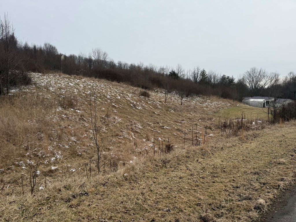 TBD Vintage View Road