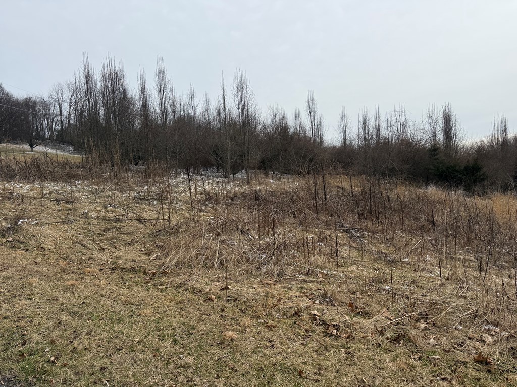 TBD Vintage View Road