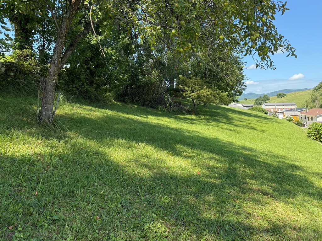 119 Riley Drive