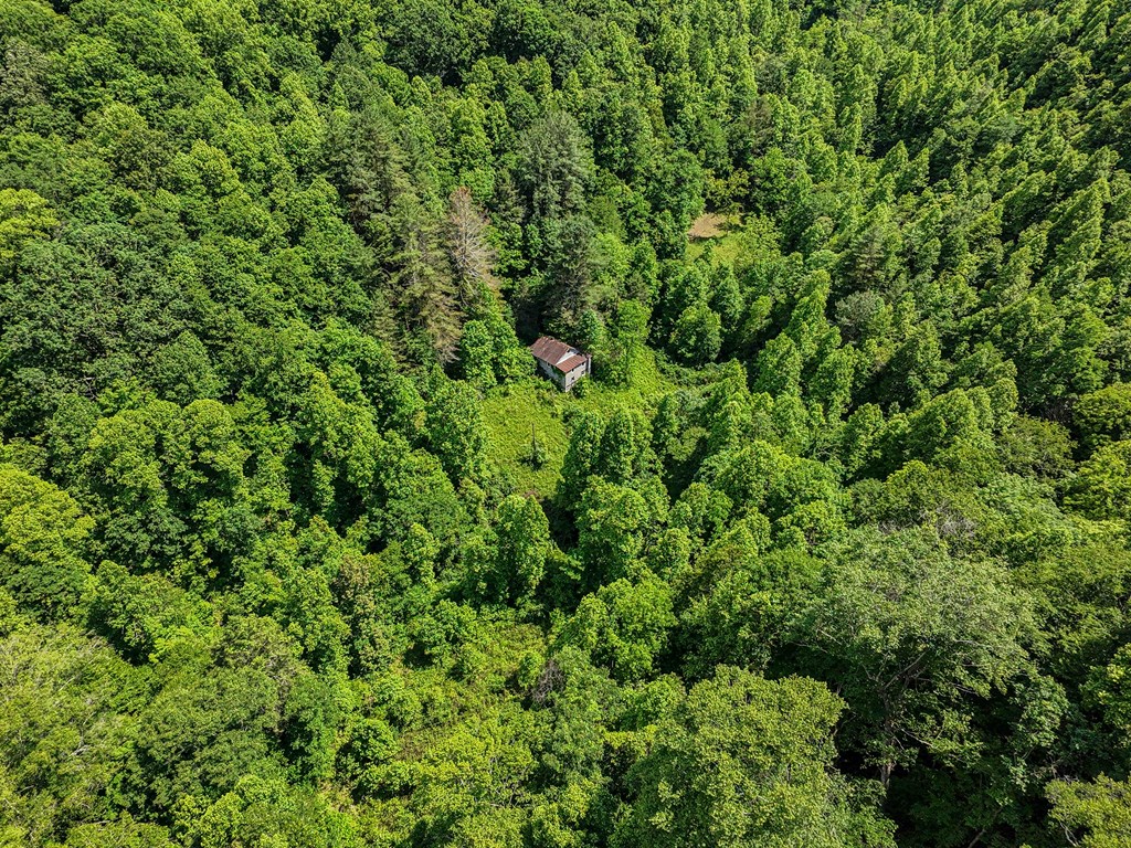TBD Osborne Branch Road