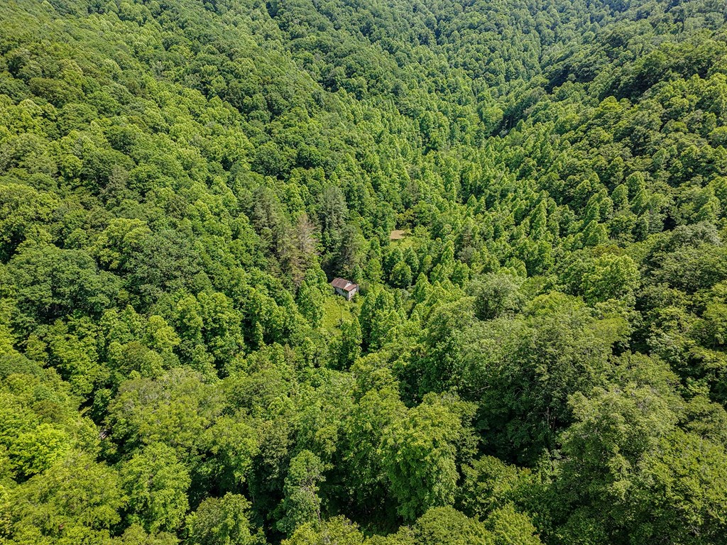 TBD Osborne Branch Road