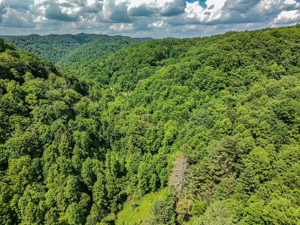 TBD Osborne Branch Road