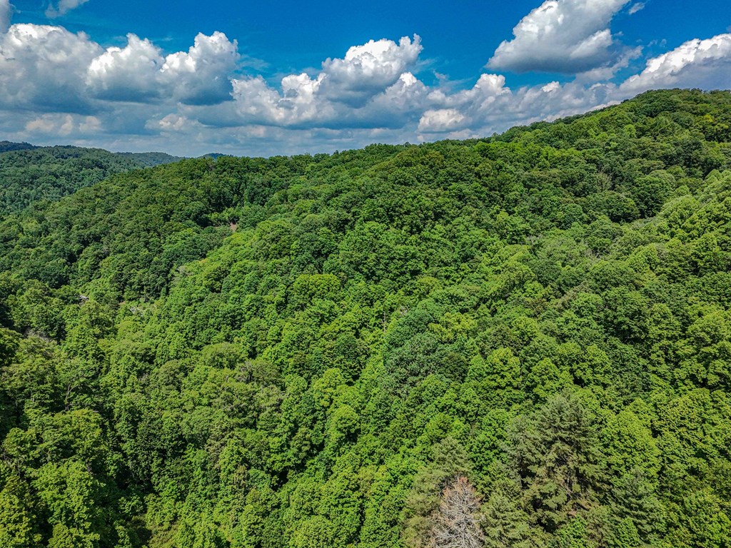 TBD Osborne Branch Road